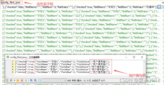 java解决动态配置字段需求问题介绍